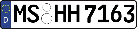 MS-HH7163