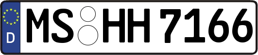 MS-HH7166