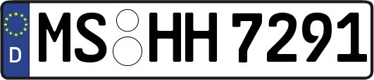 MS-HH7291