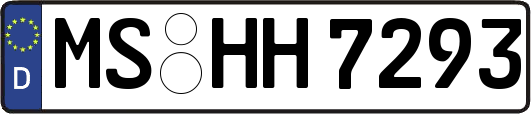 MS-HH7293