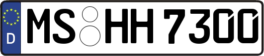 MS-HH7300