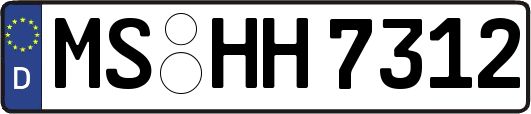 MS-HH7312