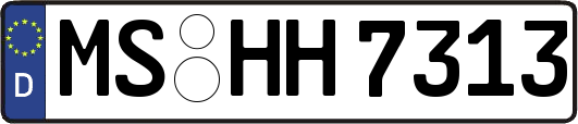 MS-HH7313