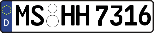 MS-HH7316