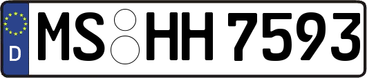 MS-HH7593