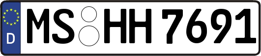 MS-HH7691