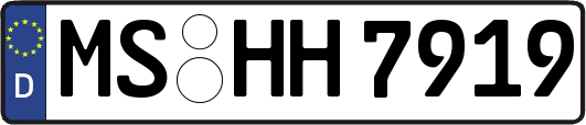 MS-HH7919