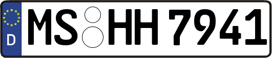MS-HH7941