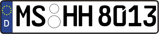 MS-HH8013