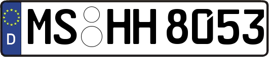 MS-HH8053