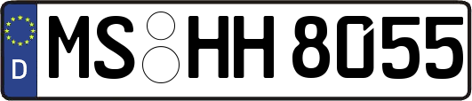 MS-HH8055