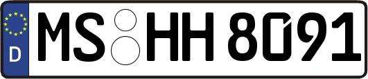 MS-HH8091