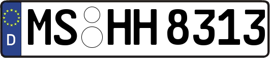 MS-HH8313