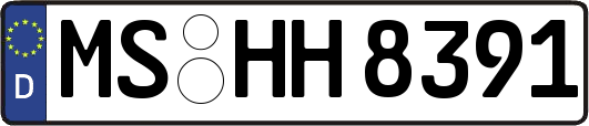 MS-HH8391
