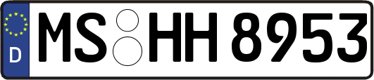 MS-HH8953