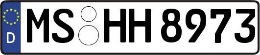 MS-HH8973