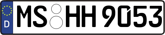 MS-HH9053