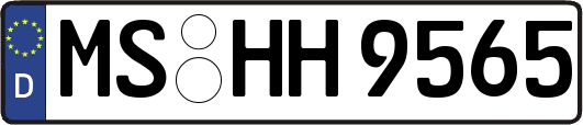 MS-HH9565