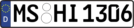 MS-HI1306