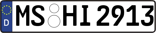 MS-HI2913