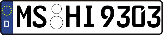 MS-HI9303