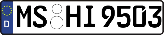 MS-HI9503