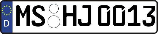 MS-HJ0013