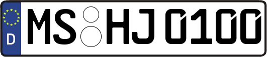 MS-HJ0100