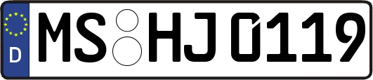 MS-HJ0119