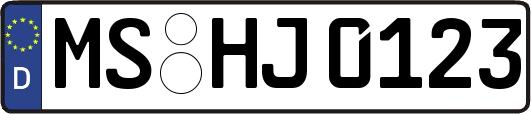 MS-HJ0123