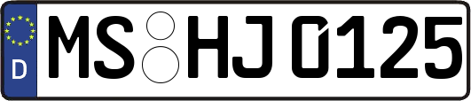 MS-HJ0125