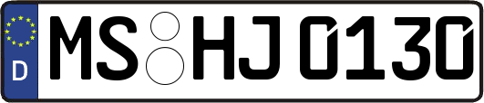 MS-HJ0130