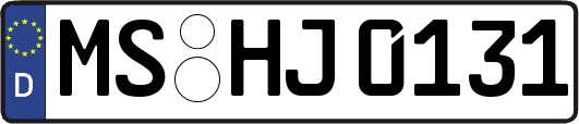 MS-HJ0131