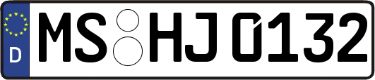 MS-HJ0132