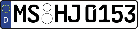 MS-HJ0153