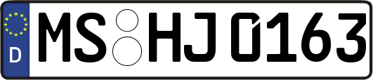 MS-HJ0163