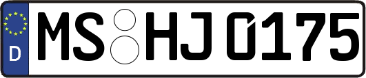 MS-HJ0175
