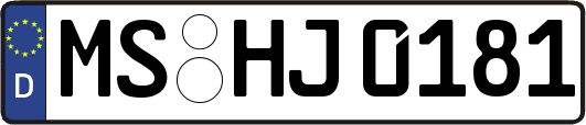 MS-HJ0181