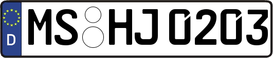 MS-HJ0203