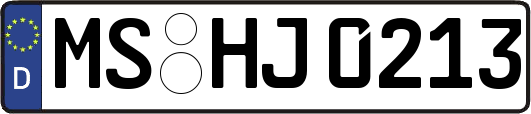 MS-HJ0213