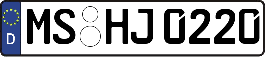 MS-HJ0220