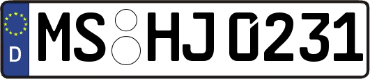 MS-HJ0231