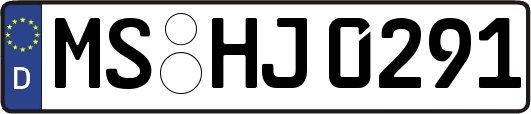 MS-HJ0291
