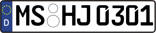 MS-HJ0301