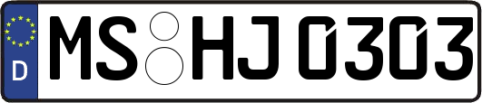 MS-HJ0303