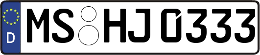 MS-HJ0333