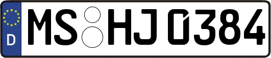 MS-HJ0384