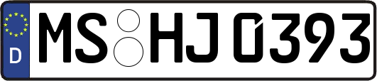 MS-HJ0393