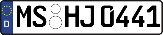MS-HJ0441