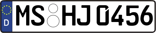 MS-HJ0456